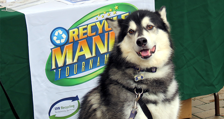 Dubs the dog in front of RecycleMania sign