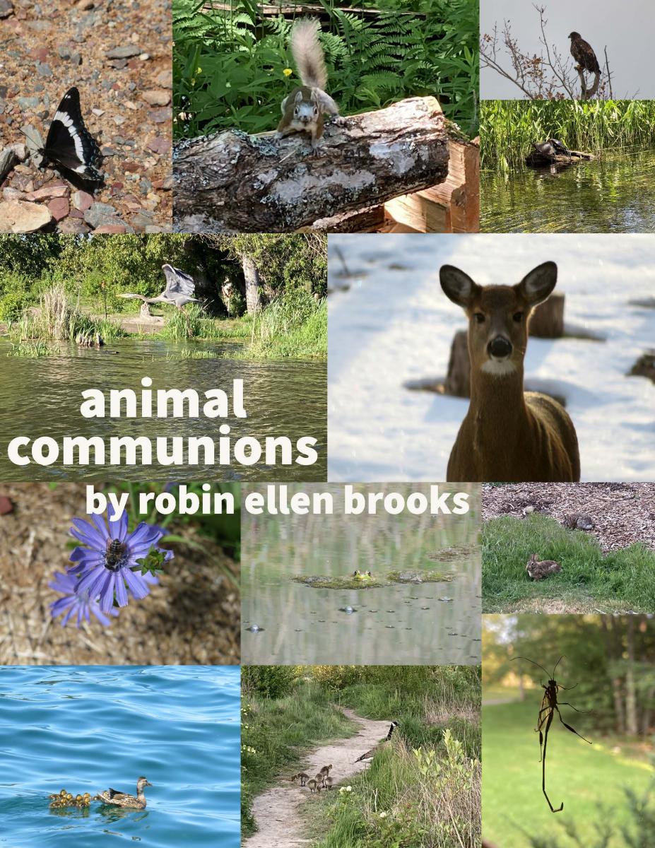 collection of nature images with the title animal communions by robin ellen brooks