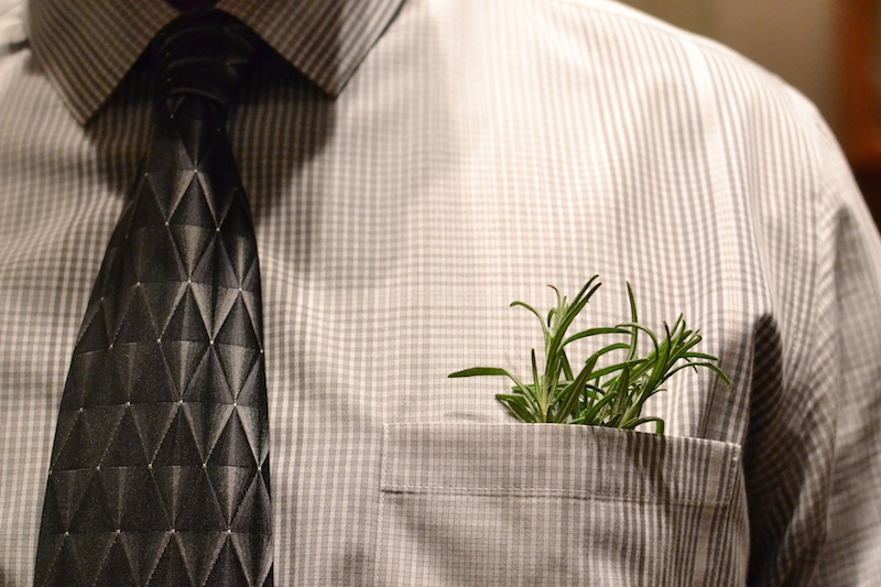 Close up of man's dress shirt with green plant sticking out of pocket