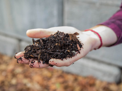hand holding fresh compost