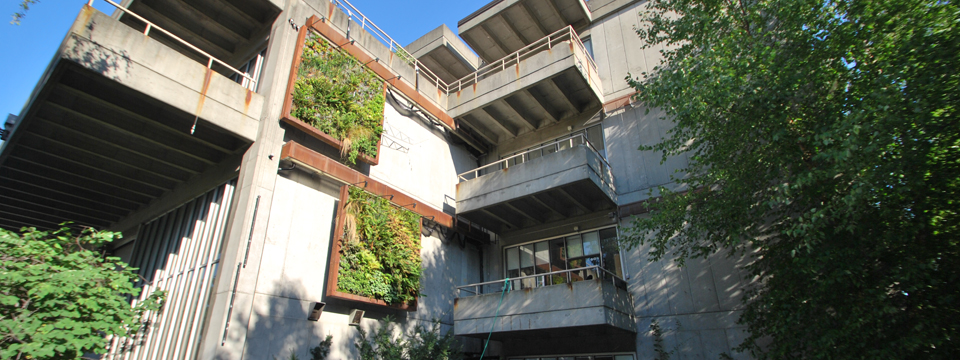 Green Wall on Gould Hall